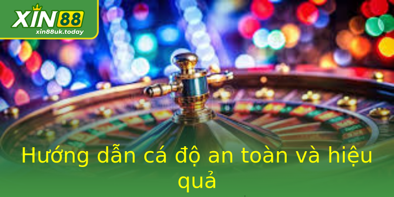 Hướng dẫn cá độ an toàn và hiệu quả Hướng dẫn cá độ an toàn và hiệu quả