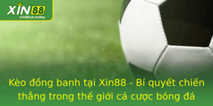 Kèo đồng banh Xin88 - Chiến thắng trong thế giới cá cược bóng đá 7 Keo Ong Banh Tai Xin88 Bi Quyet Chien Thang Trong The Gioi Ca Cuoc Bong A