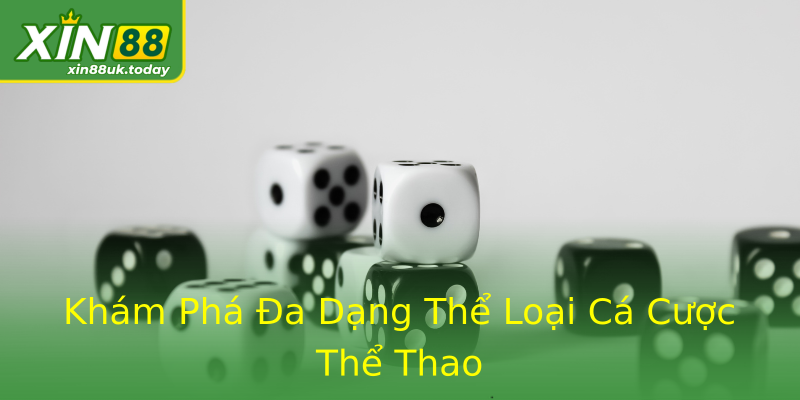 Khám Phá Đa Dạng Thể Loại Cá Cược Thể Thao Khám Phá Đa Dạng Thể Loại Cá Cược Thể Thao