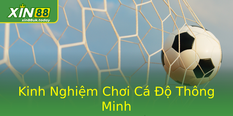 Kinh Nghiệm Chơi Cá Độ Thông Minh Kinh Nghiệm Chơi Cá Độ Thông Minh