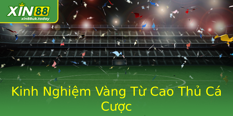 Kinh Nghiệm Vàng Từ Cao Thủ Cá Cược Kinh Nghiệm Vàng Từ Cao Thủ Cá Cược