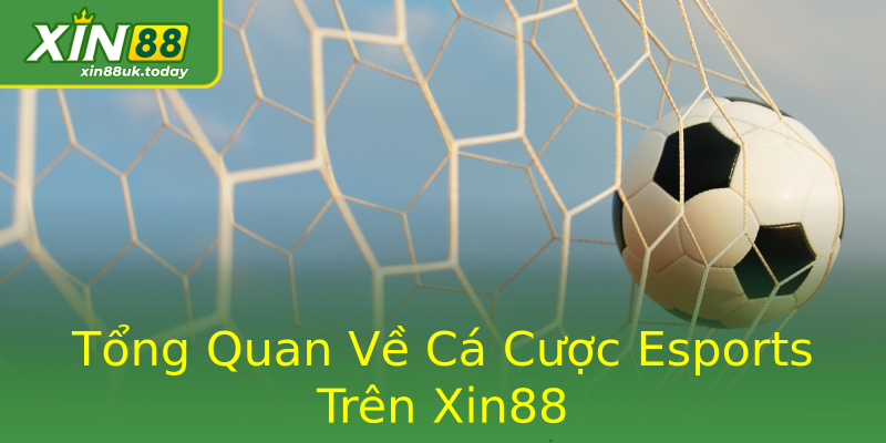 Tổng Quan Về Cá Cược Esports Trên Xin88 Tổng Quan Về Cá Cược Esports Trên Xin88
