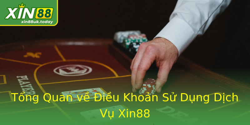 Tổng Quan về Điều Khoản Sử Dụng Dịch Vụ Xin88 Tổng Quan về Điều Khoản Sử Dụng Dịch Vụ Xin88