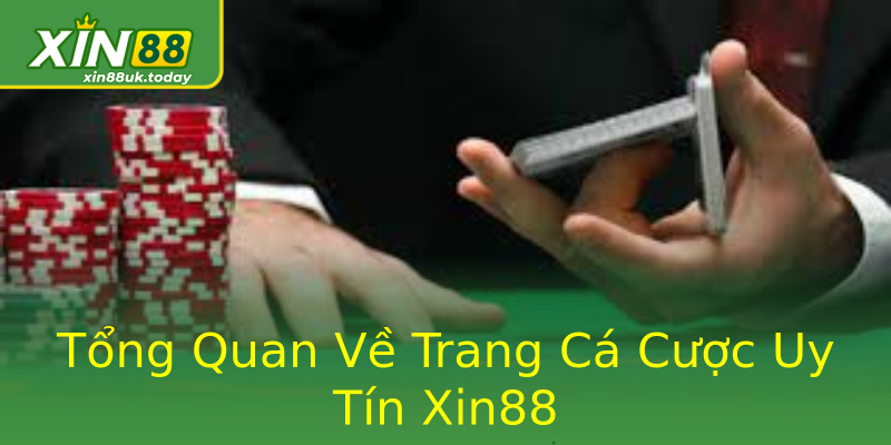 Tổng Quan Về Trang Cá Cược Uy Tín Xin88 Tổng Quan Về Trang Cá Cược Uy Tín Xin88