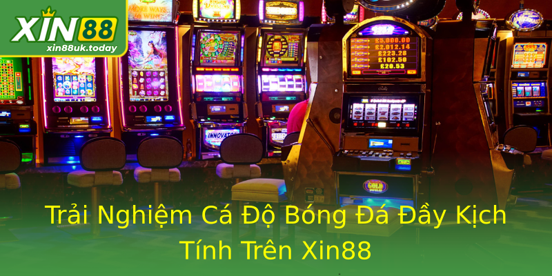 Trải Nghiệm Cá Độ Bóng Đá Đầy Kịch Tính Trên Xin88 Trải Nghiệm Cá Độ Bóng Đá Đầy Kịch Tính Trên Xin88